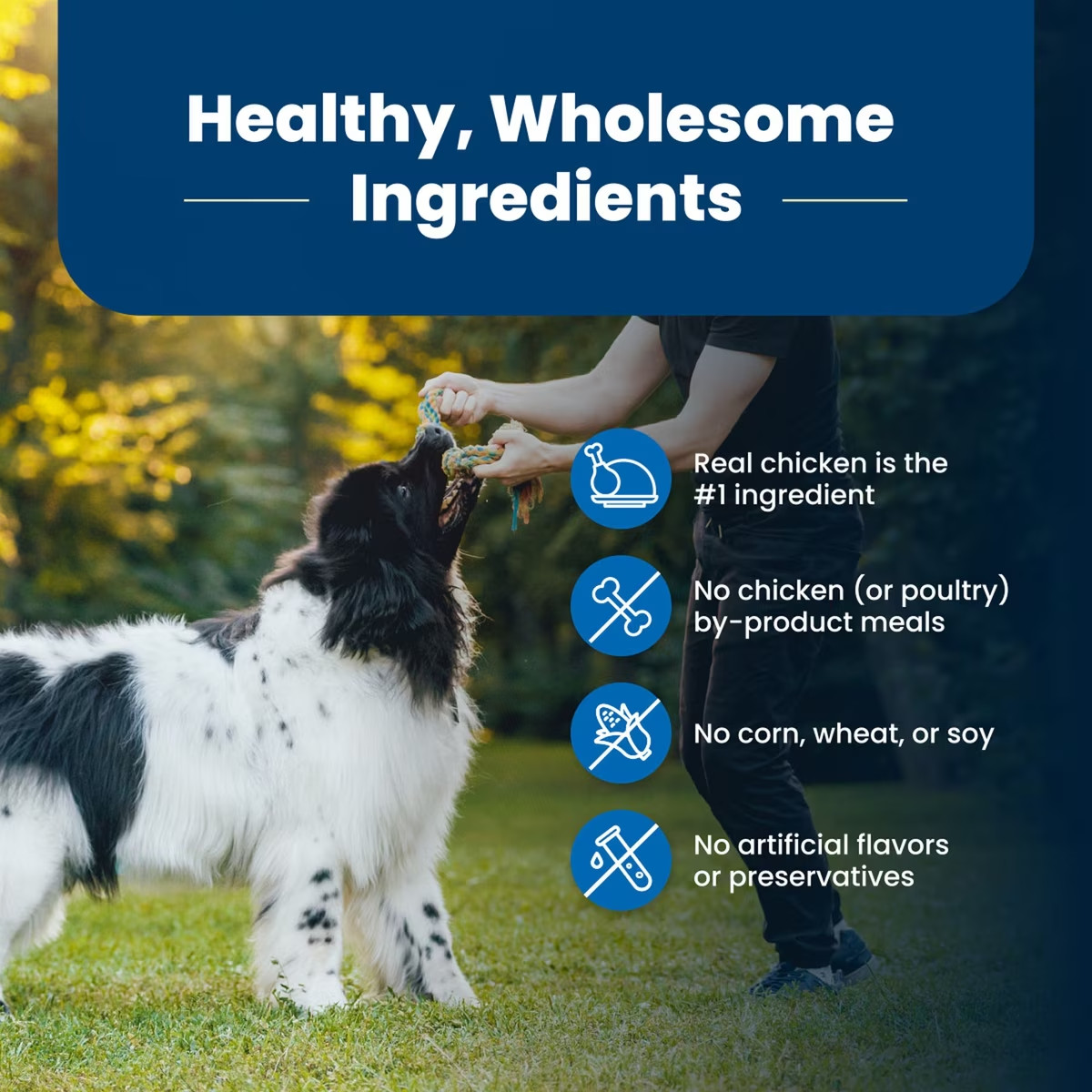 Blue Buffalo Life Protection Formula Adult Dry Dog Food-Chicken&Brown Rice,30-lb