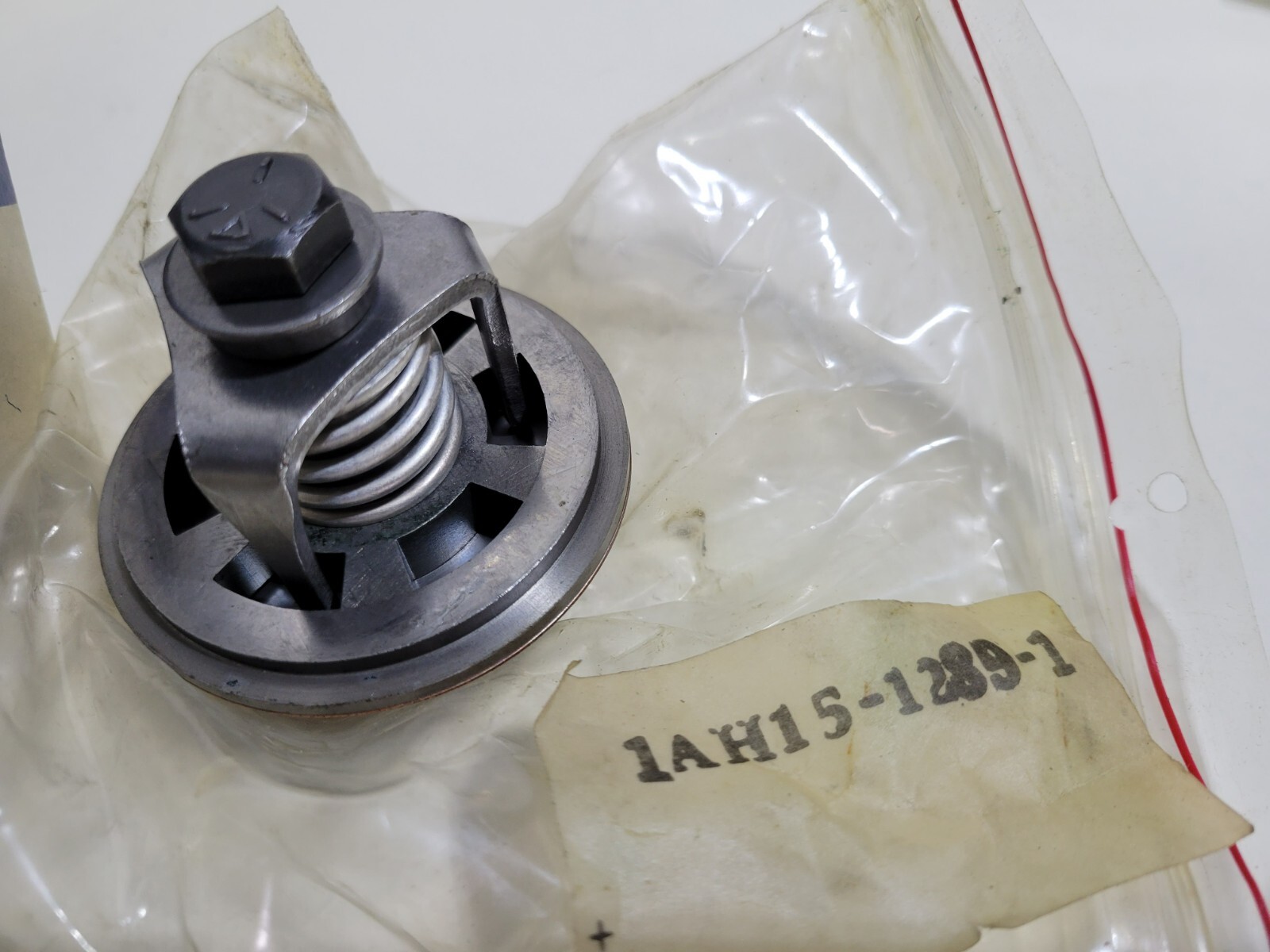 Genuine LeRoi A204-792 Valve Set AH15-1289