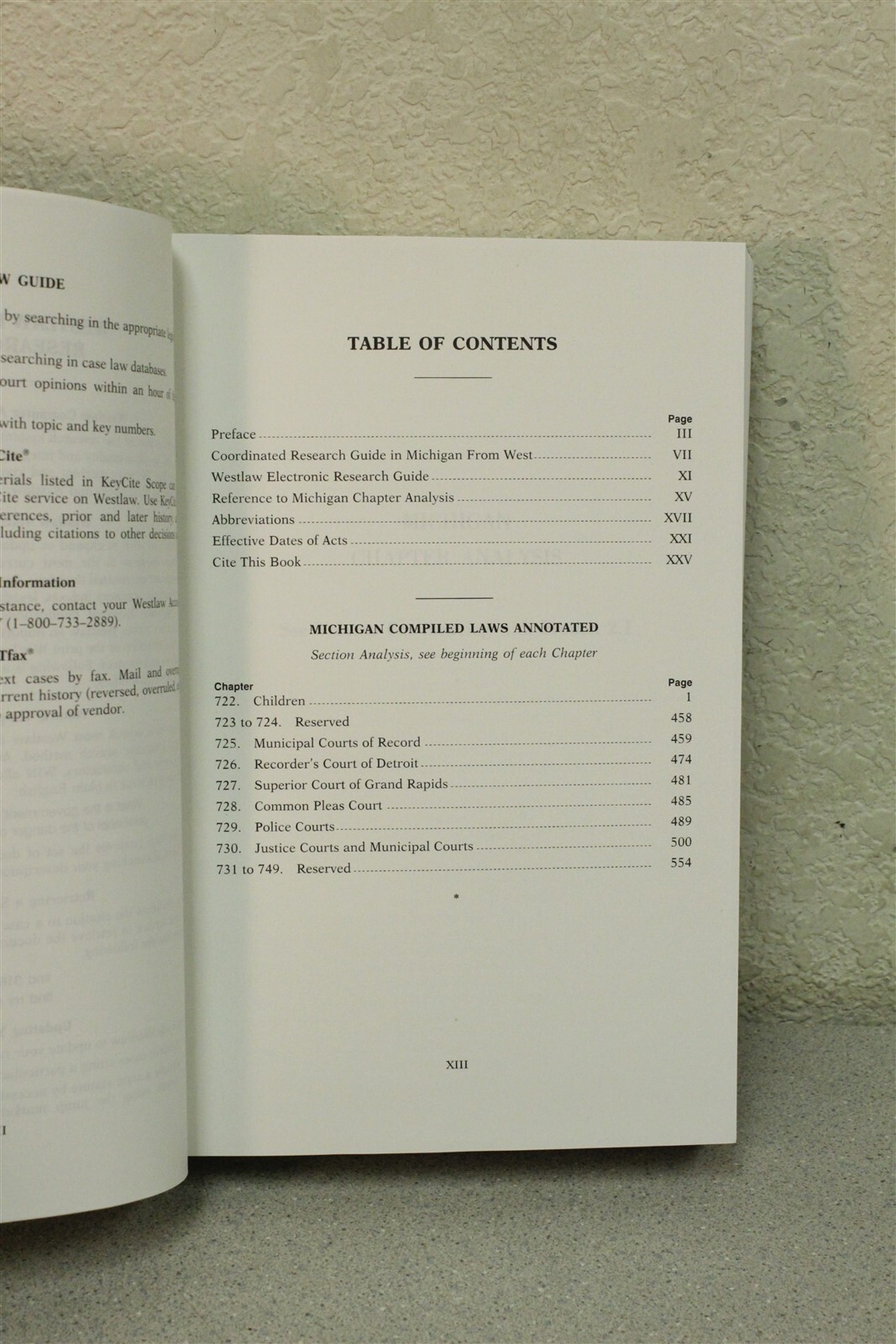 MI Compiled Laws Annotated M.C.L.A Sec 722.1-749.End *FREE SHIPPING*