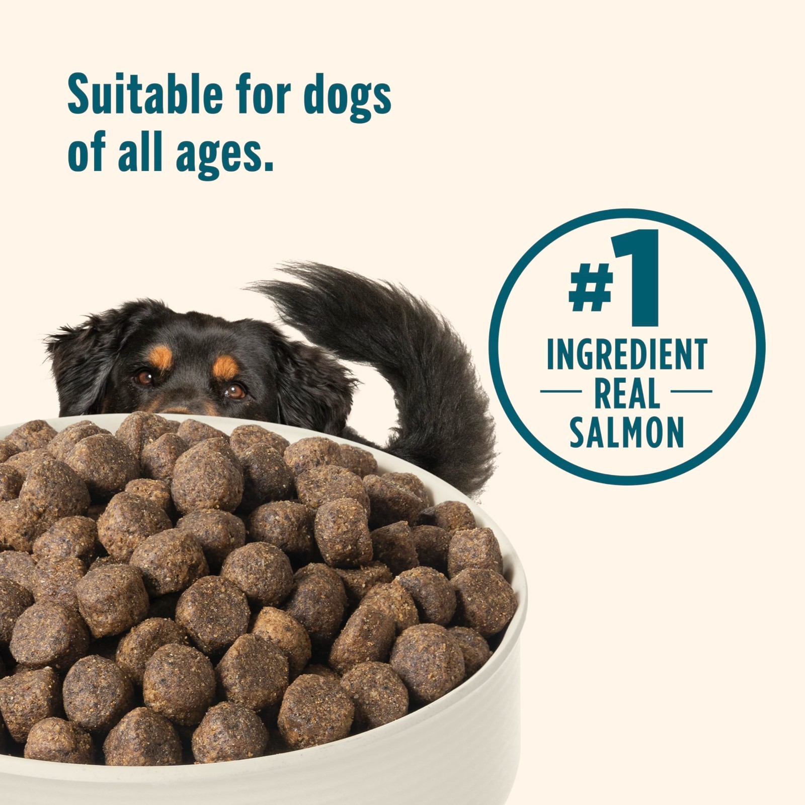 Nutrish Grain Free Dry Dog Food, Salmon & Sweet Potato Recipe, 23 lb. Bag