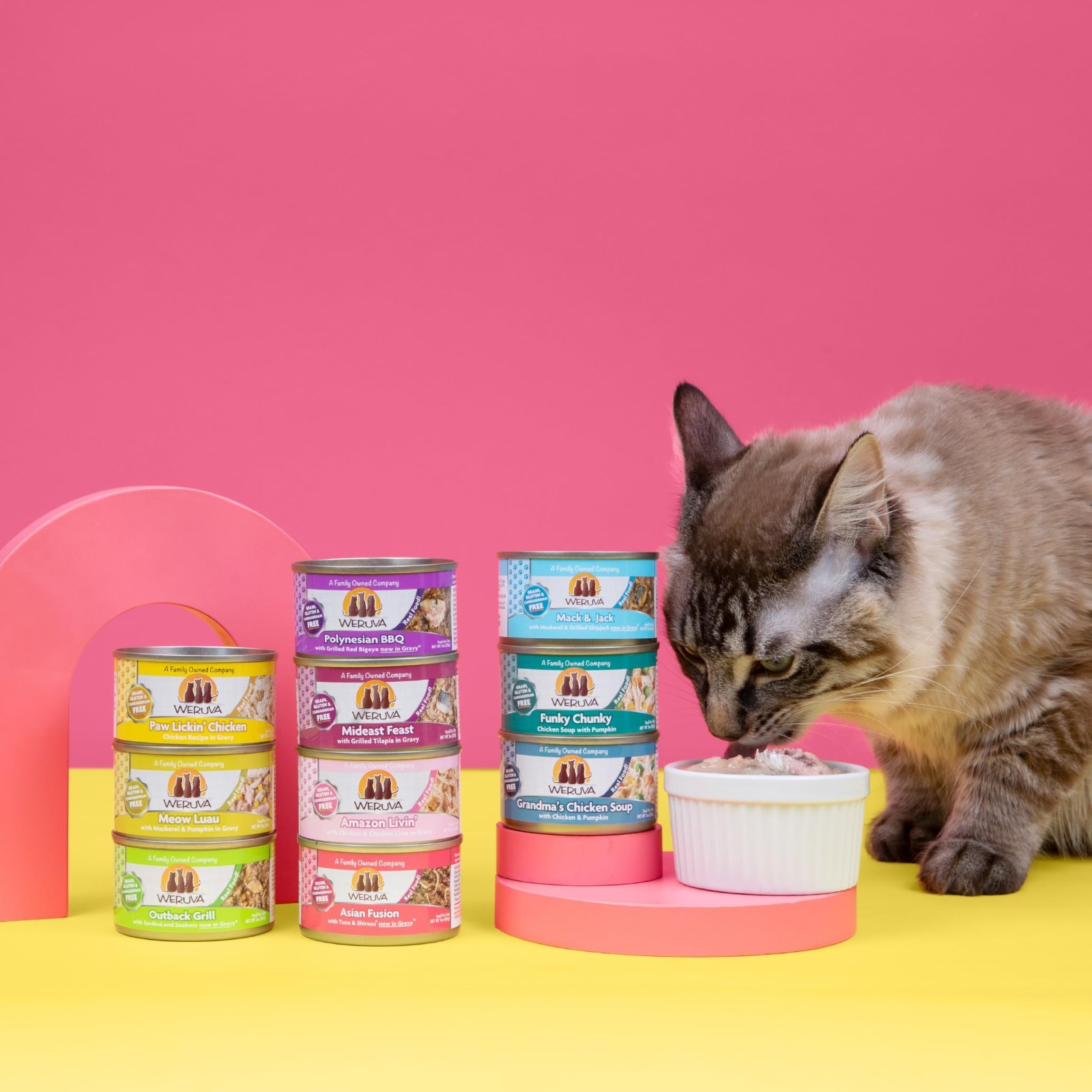 Weruva Classic Cat Food,Variety Pack, Paw Lickin’ Pals Wet Cat Food, 5.5oz, 24ct