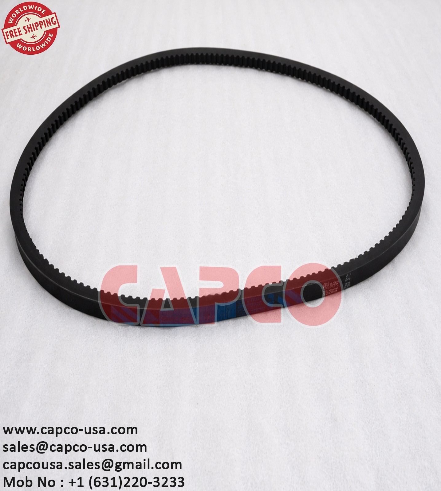 BELT 6.3813.0/NON OEM/FREE SHIPPING