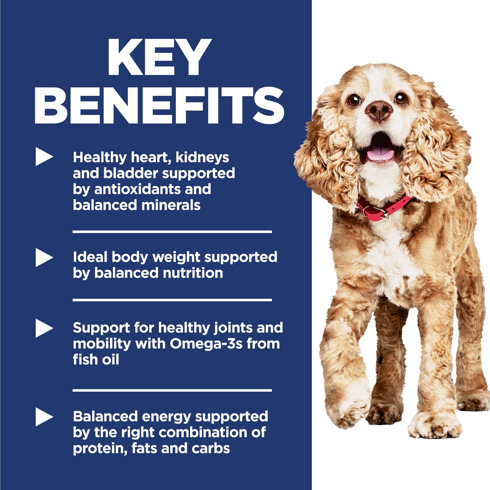 Hill’s Science Diet Small & Mini, Senior Adult 11+, Small & Mini Breeds Senior