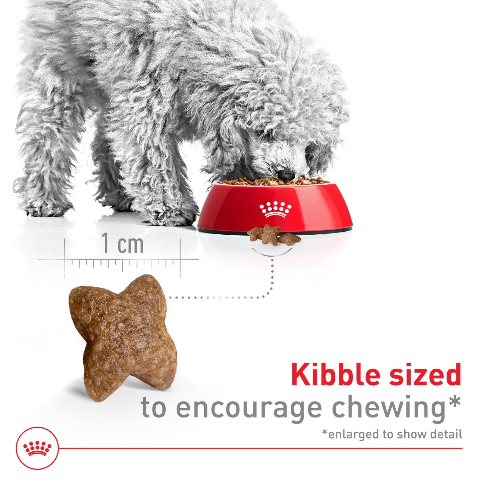 Royal Canin Size Health Nutrition Small Adult Dry Dog Food, 30 lb Bag