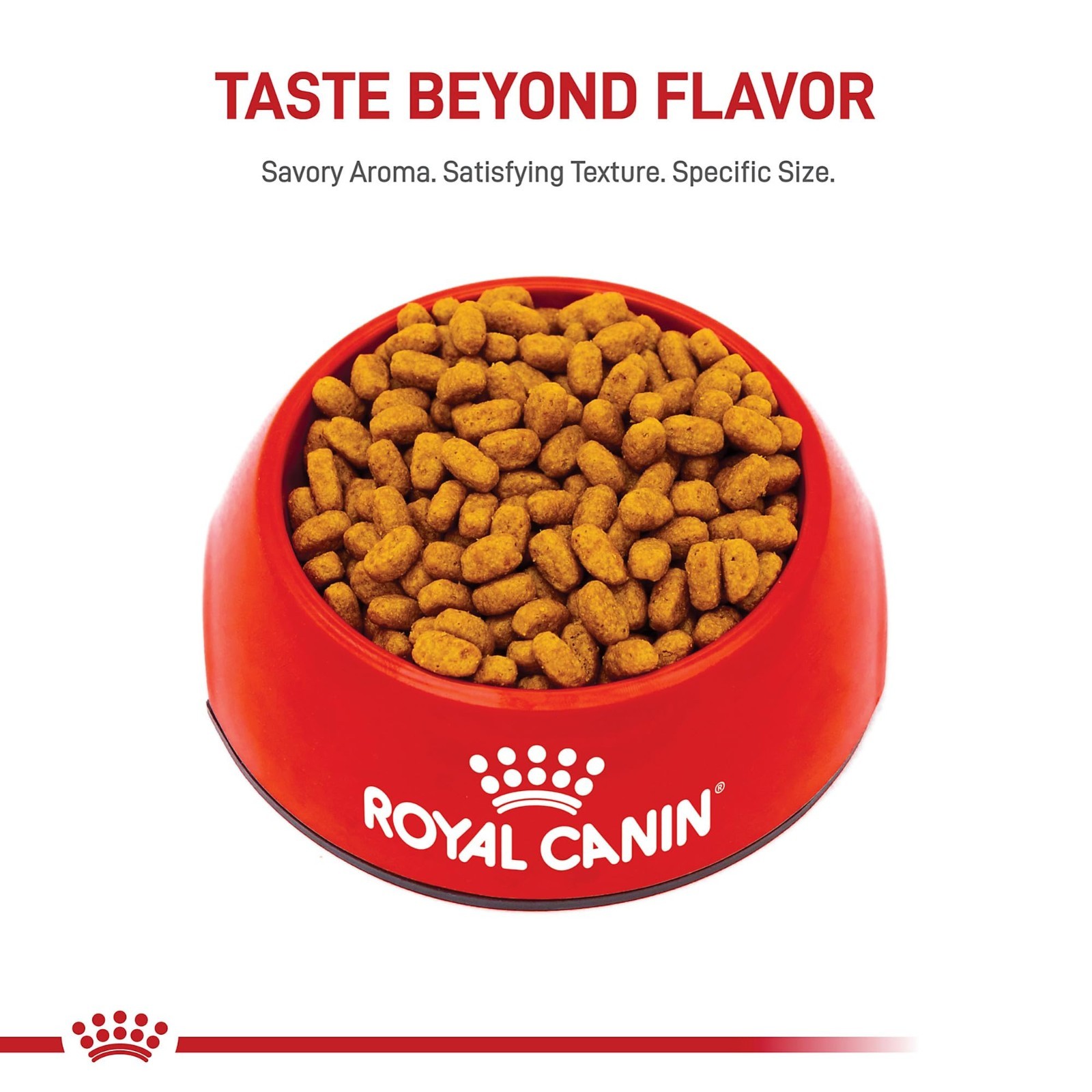 2 PACK Royal Canin Breed Health Nutrition Maltese Adult Dry Dog Food, 2.5 lb Bag