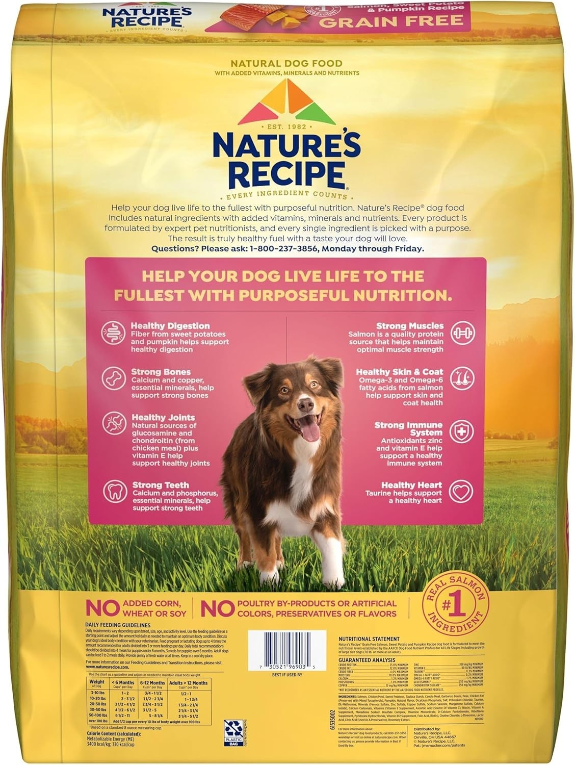 Nature’s Recipe All Life Stage Dog Food -Salmon, Sweet Potato & Pumpkin – 34 lb