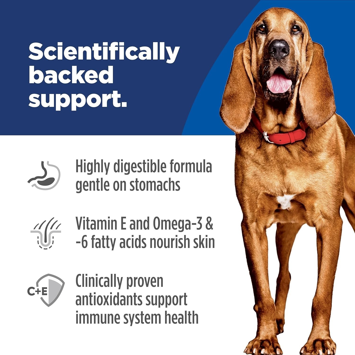 Hill’s Science Diet Adult Sensitive Stomach & Skin Large Breed, Chicken, 30 lb