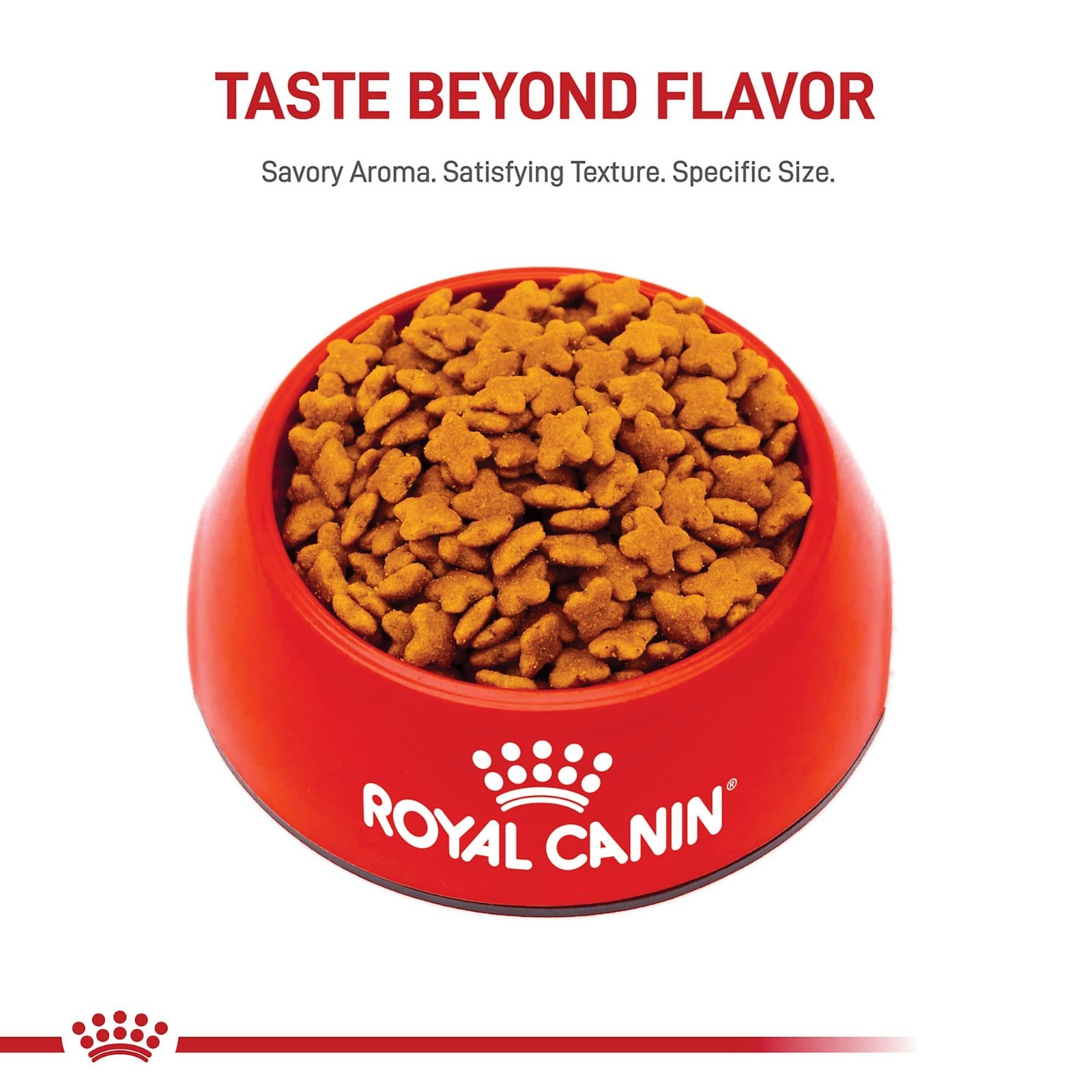 Royal Canin Size Health Nutrition Small Adult Dry Dog Food, 30 lb Bag