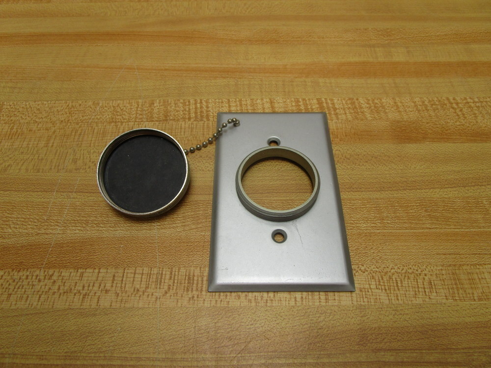 Bryant Electric 5260 Weatherproof Flush Outlet Cover & Hardware Only
