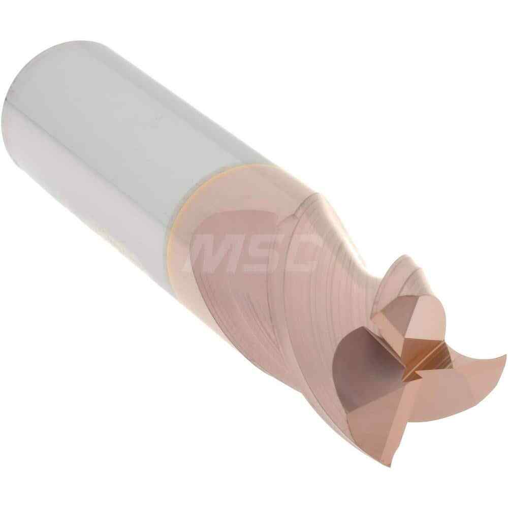 Accupro 12182188 Square End Mill: 1/2″ Dia, 5/8″ LOC, 1/2″ Shank, 2-1/2″ OAL
