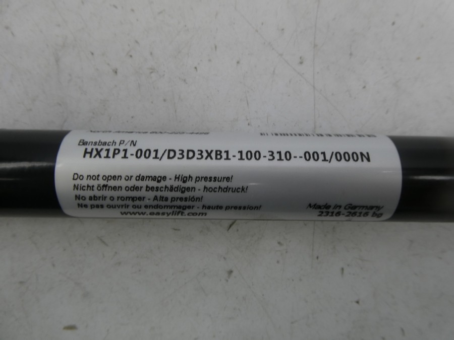 BANSBACH HX1P1-001/D3D3XB1-100-310-001/000N NSNP