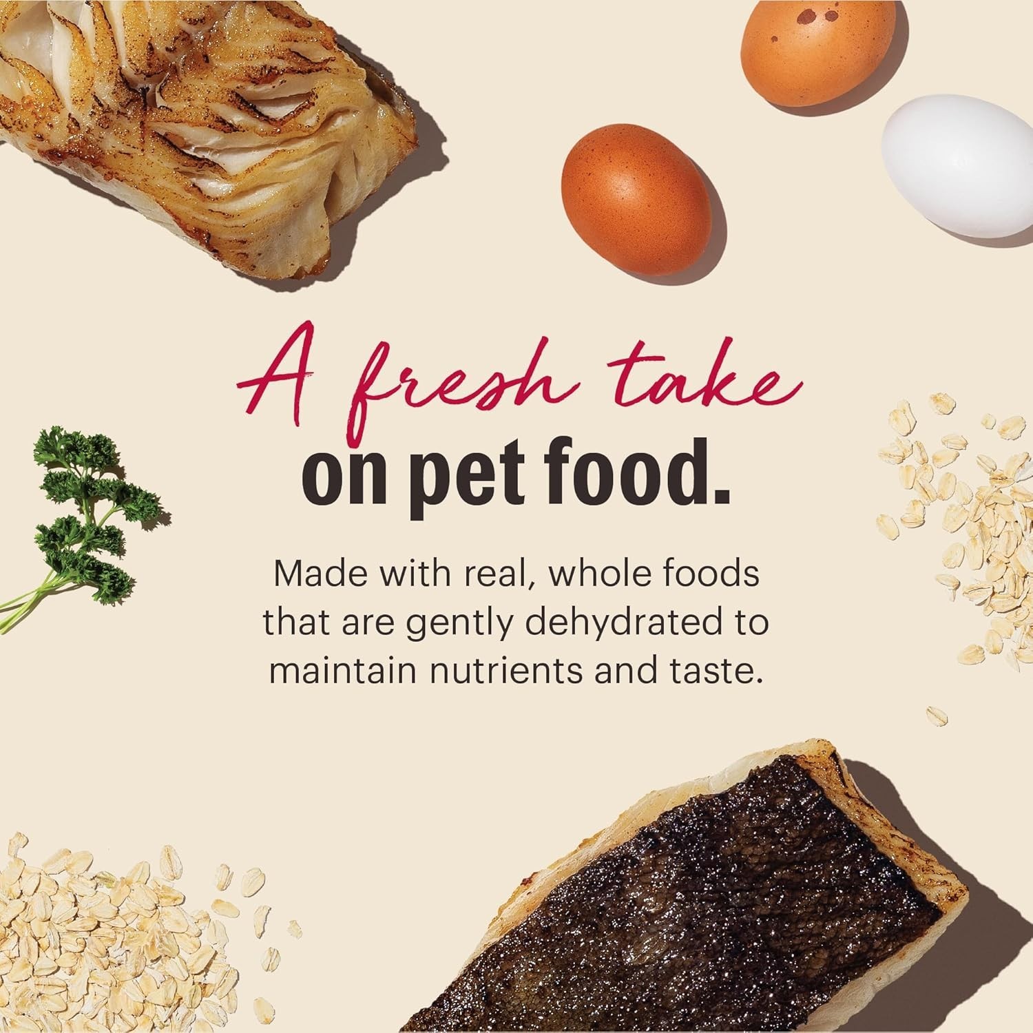 The Honest Kitchen Wholemade Whole Grain Adult Dehydrated Dog Food – Fish, 4 Lb