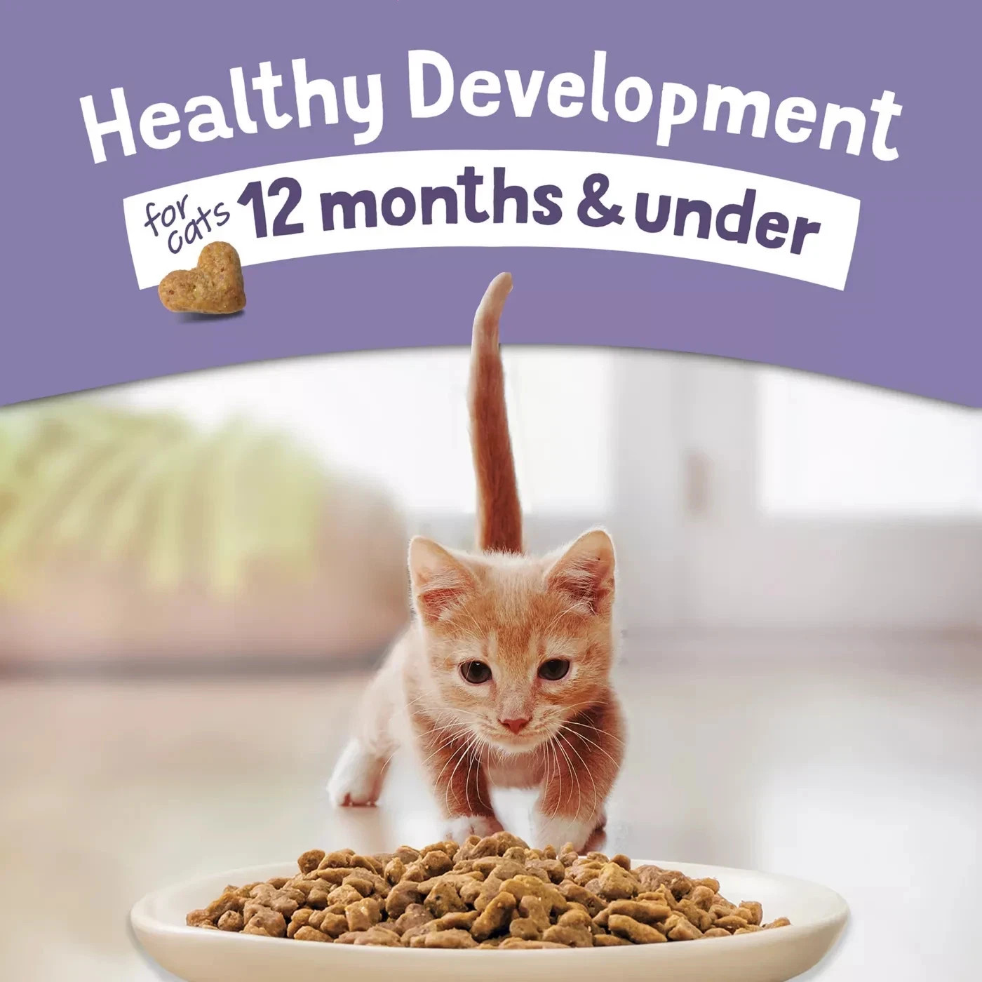 4 PACK – Purina Kitten Chow Cat Food – Chicken, 14Lb