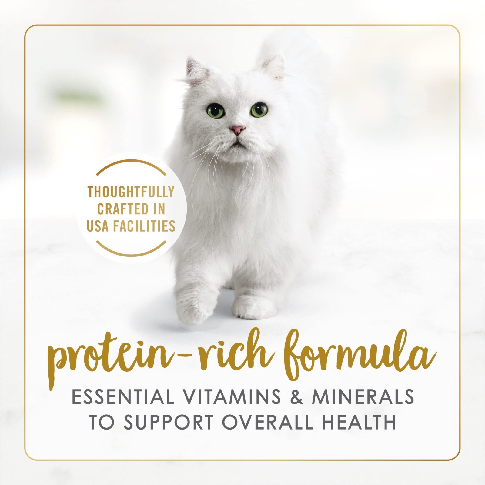 3 pack Purina Fancy Feast Grilled Kitten Food, Wet Cat Food, Seafood, 3 oz,24ct
