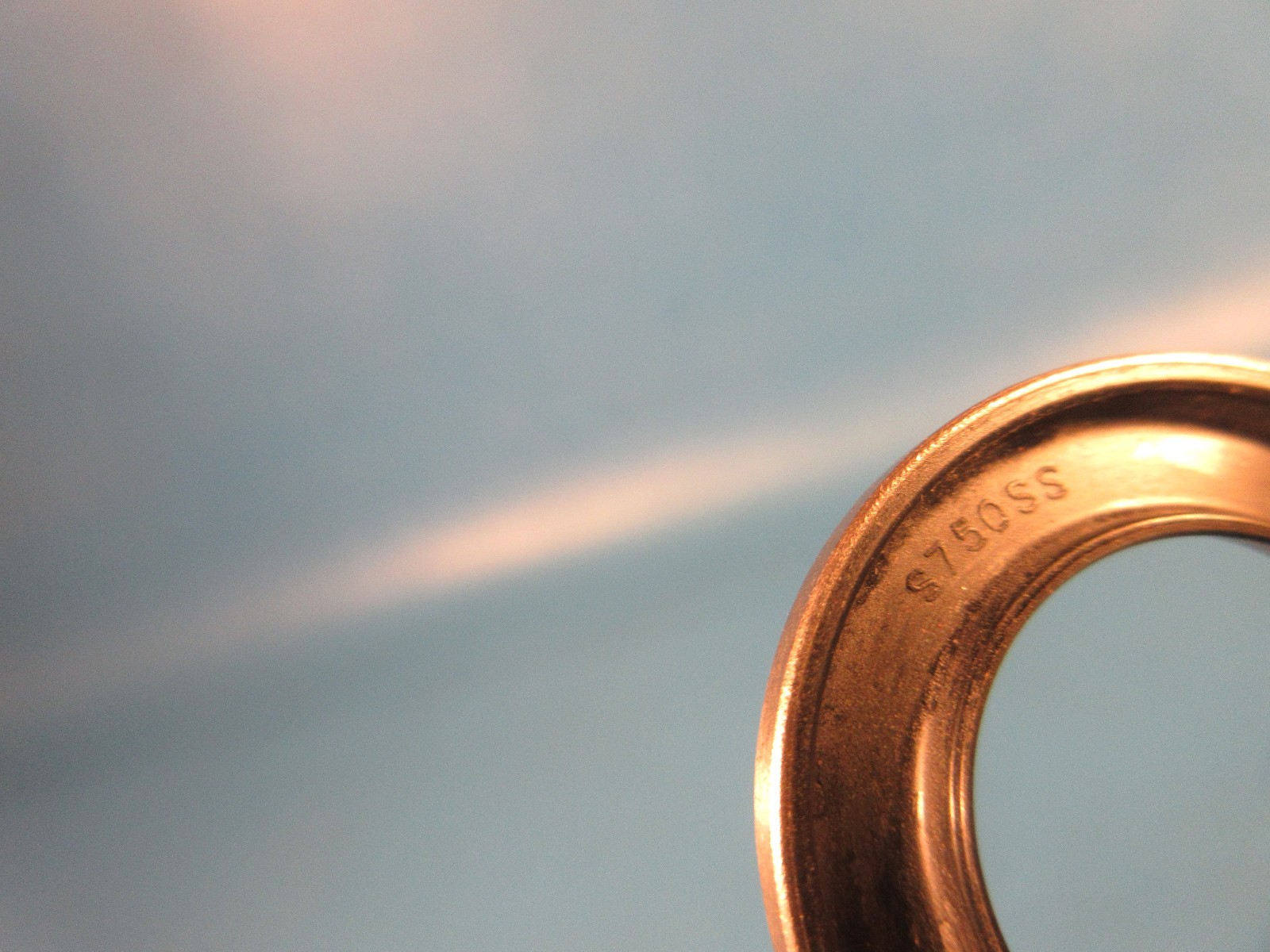 Thomson S750SS Fixed Diameter Housing Seal