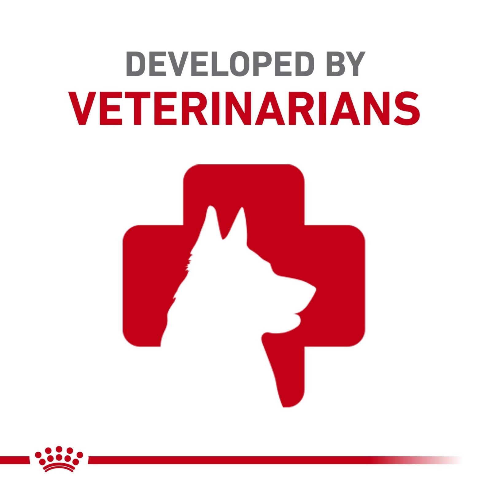 Royal Canin Chihuahua Adult Breed Specific Dry Dog Food, 10 Pounds. Bag