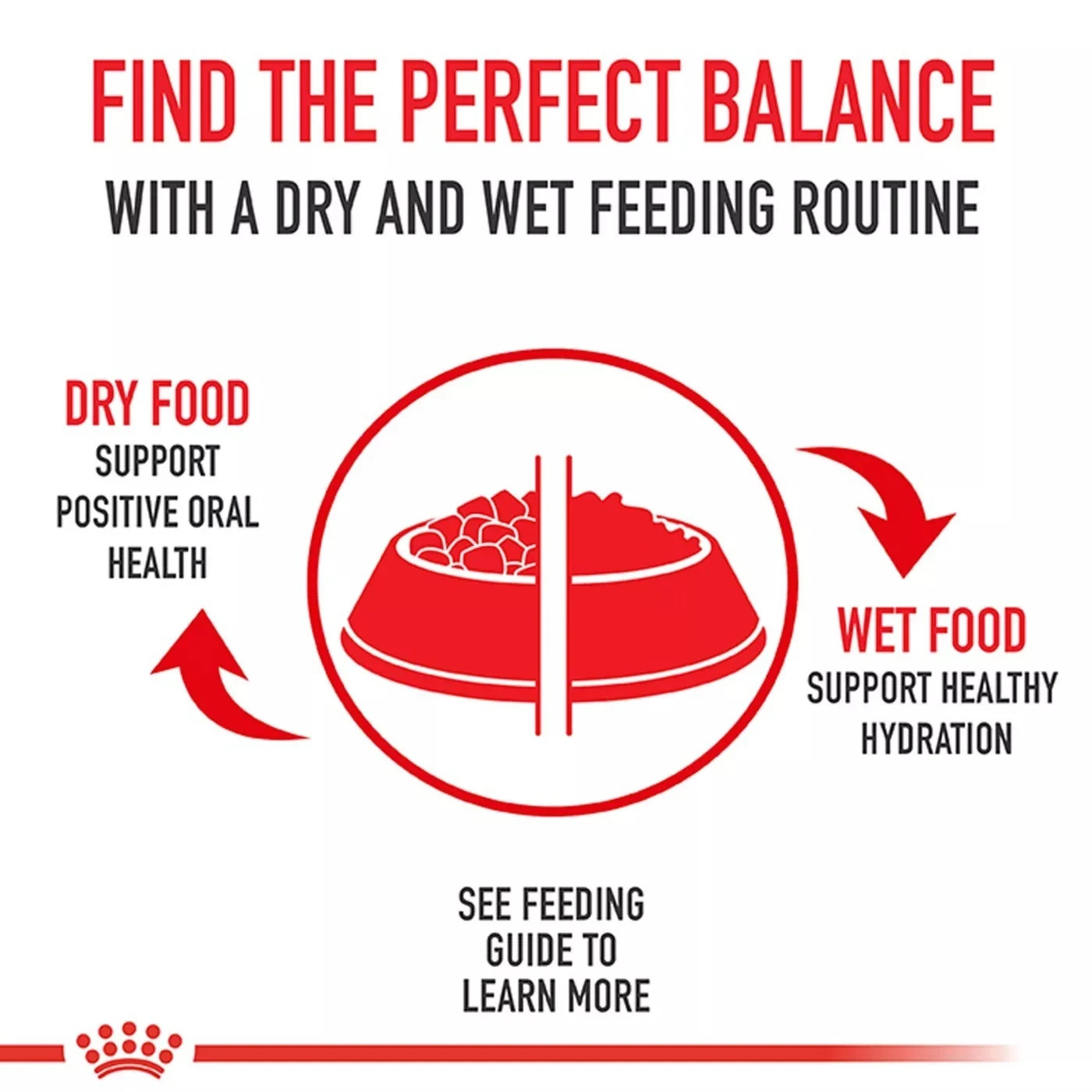 Royal Canin Feline Health Nutrition Kitten Dry Cat Food, 14 lb