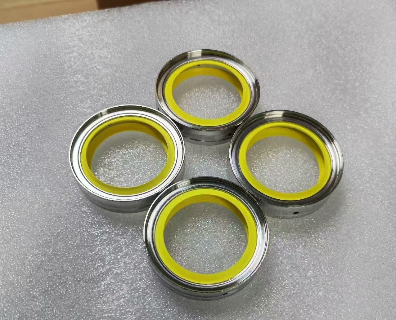 EDWARDS IXH/IXL/GXS/IGX/IXM oil seal