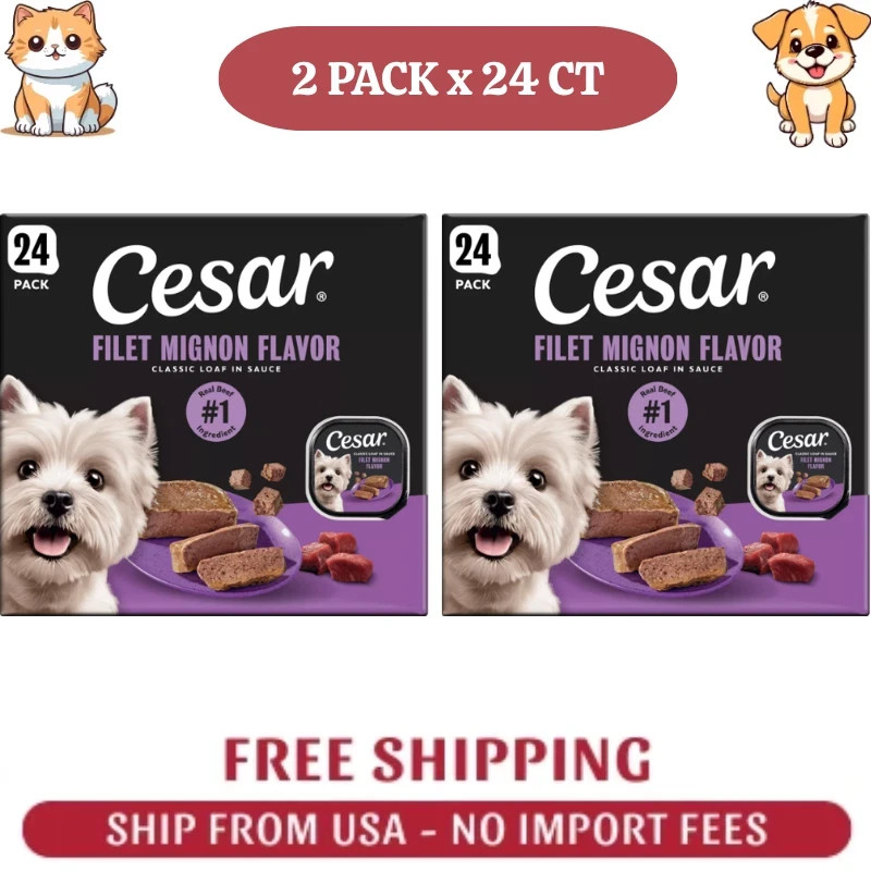 2 PACK Cesar Classic Loaf in Sauce Adult Wet Dog Food Filet Mignon, 3.5 oz, 24ct