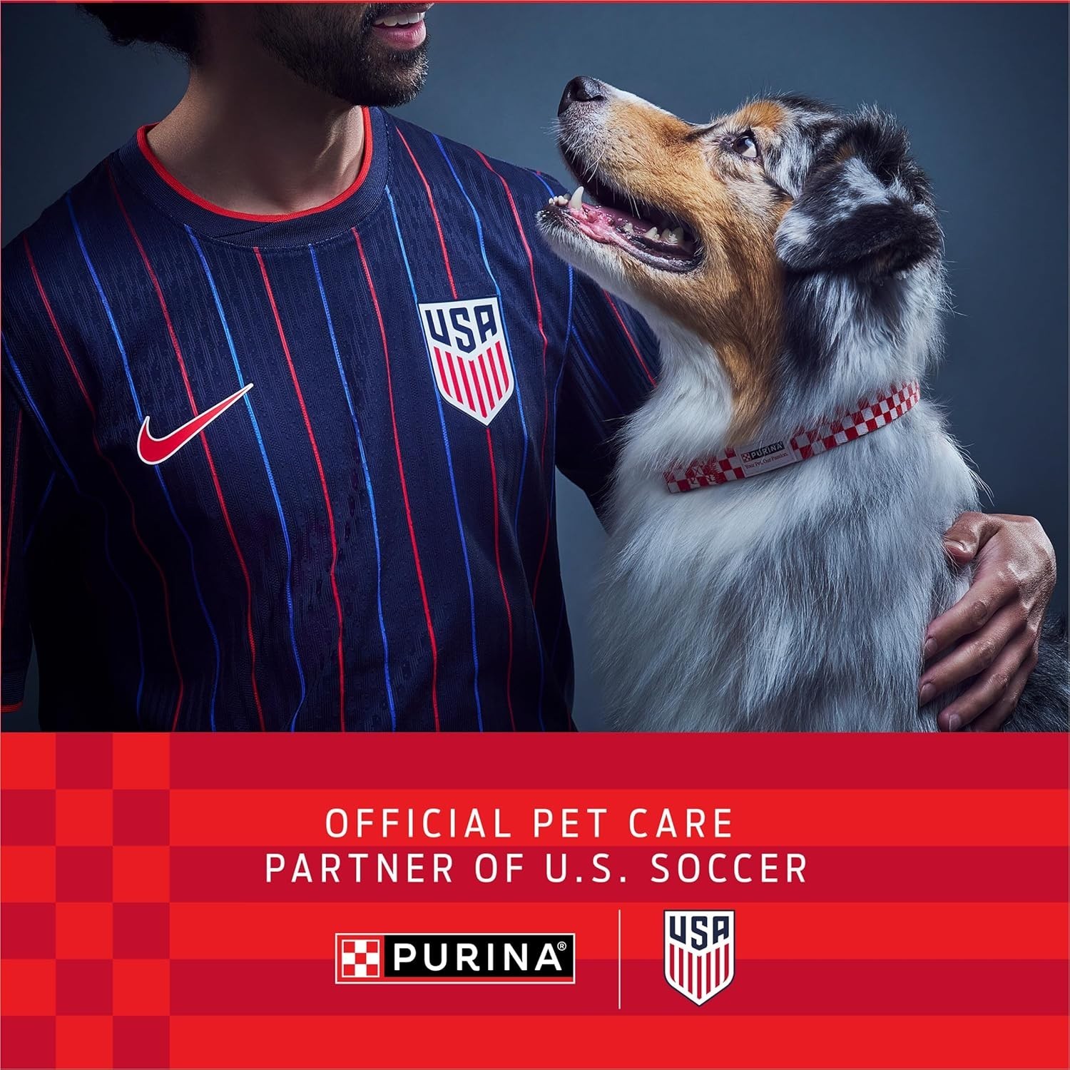 Purina One Dry Dog Food for Adult Dogs High Protein, Real Chicken & Rice, 40 lb