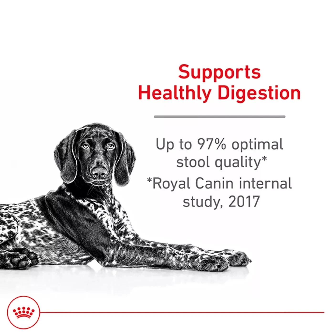 Royal Canin Canine Adult Dry Food – Large Breed Digestive Care Nutrition, 30 lb