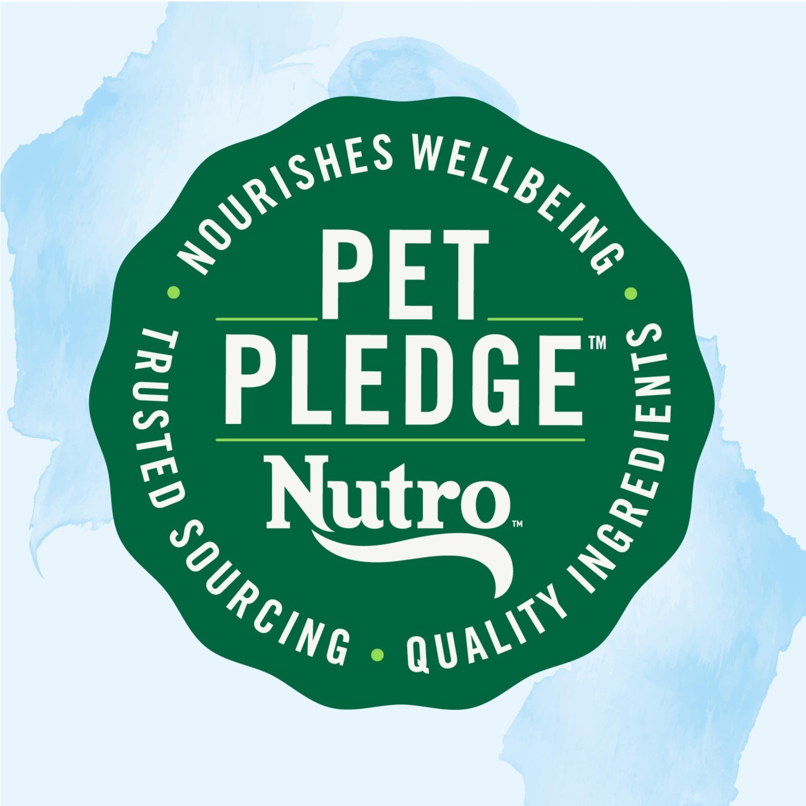Nutro Limited Ingredient Diet Adult Wet Dog Food,Premium Loaf,Turkey 12.5oz,24ct