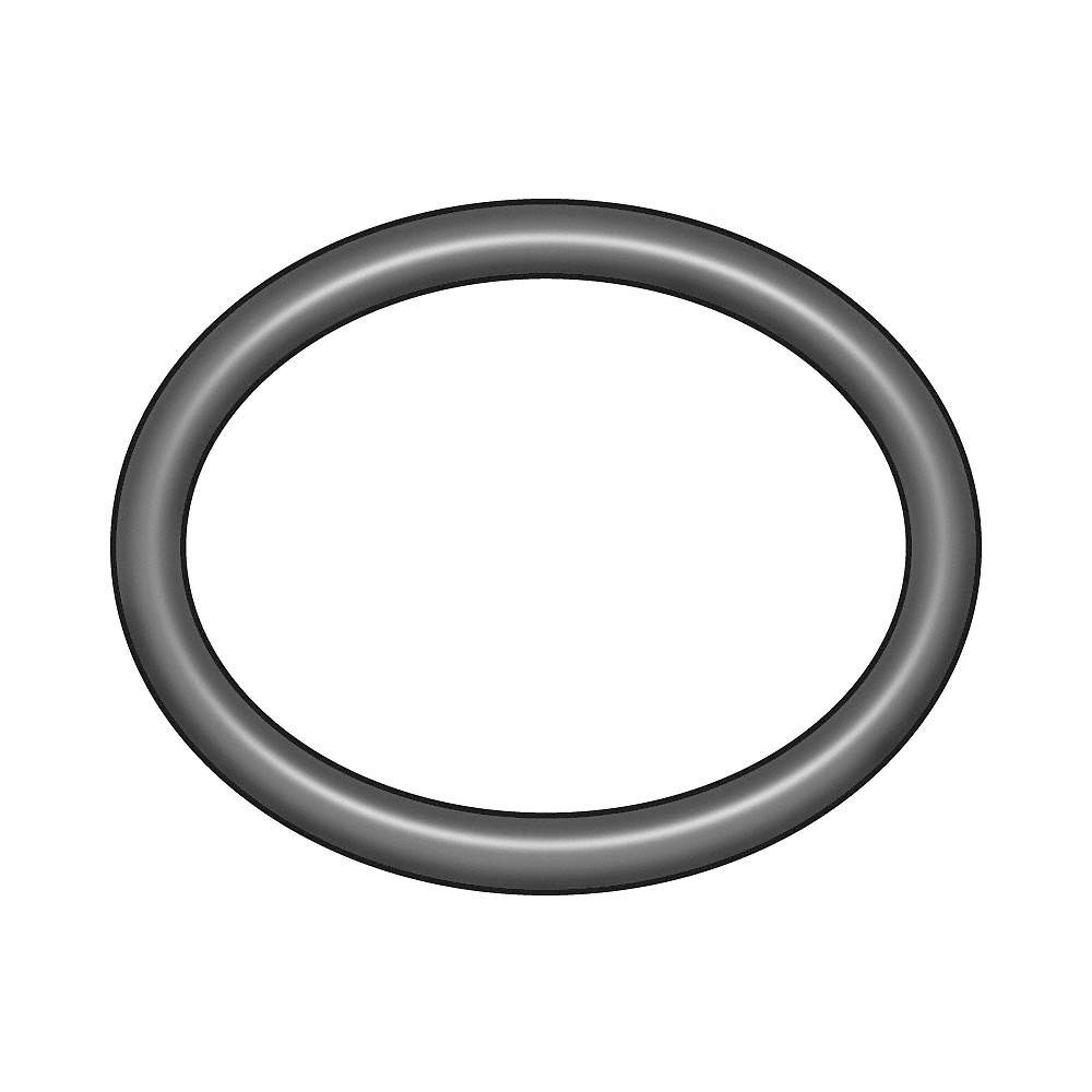GRAINGER APPROVED 1RGV9 O-Ring,Viton,Black,PK10 1RGV9