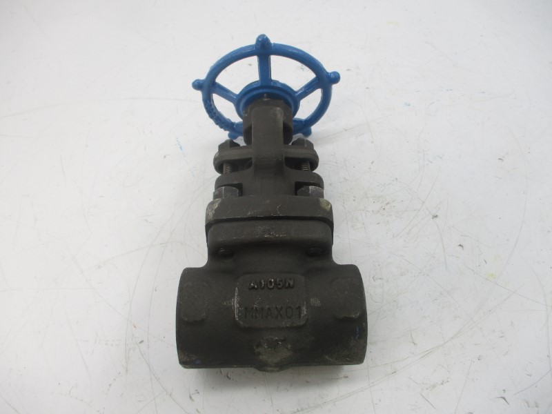 VELAN W-2054B-02TY 1975PSI 1″ NSNP
