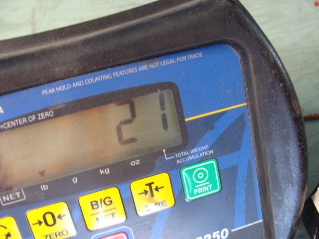 PULSATRON SERIES E PLUS METERING PUMP LPH7SA-KTC3-XXX 240GPD @ 35PSI 115VAC