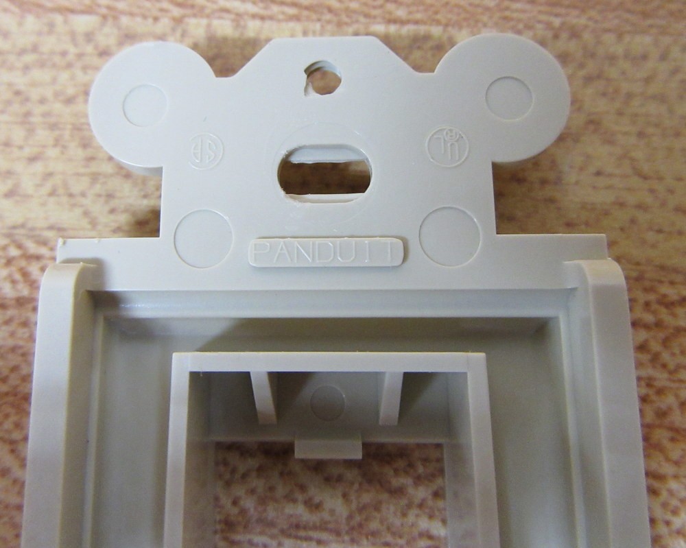 Panduit CFG2 Faceplate (Pack of 3)