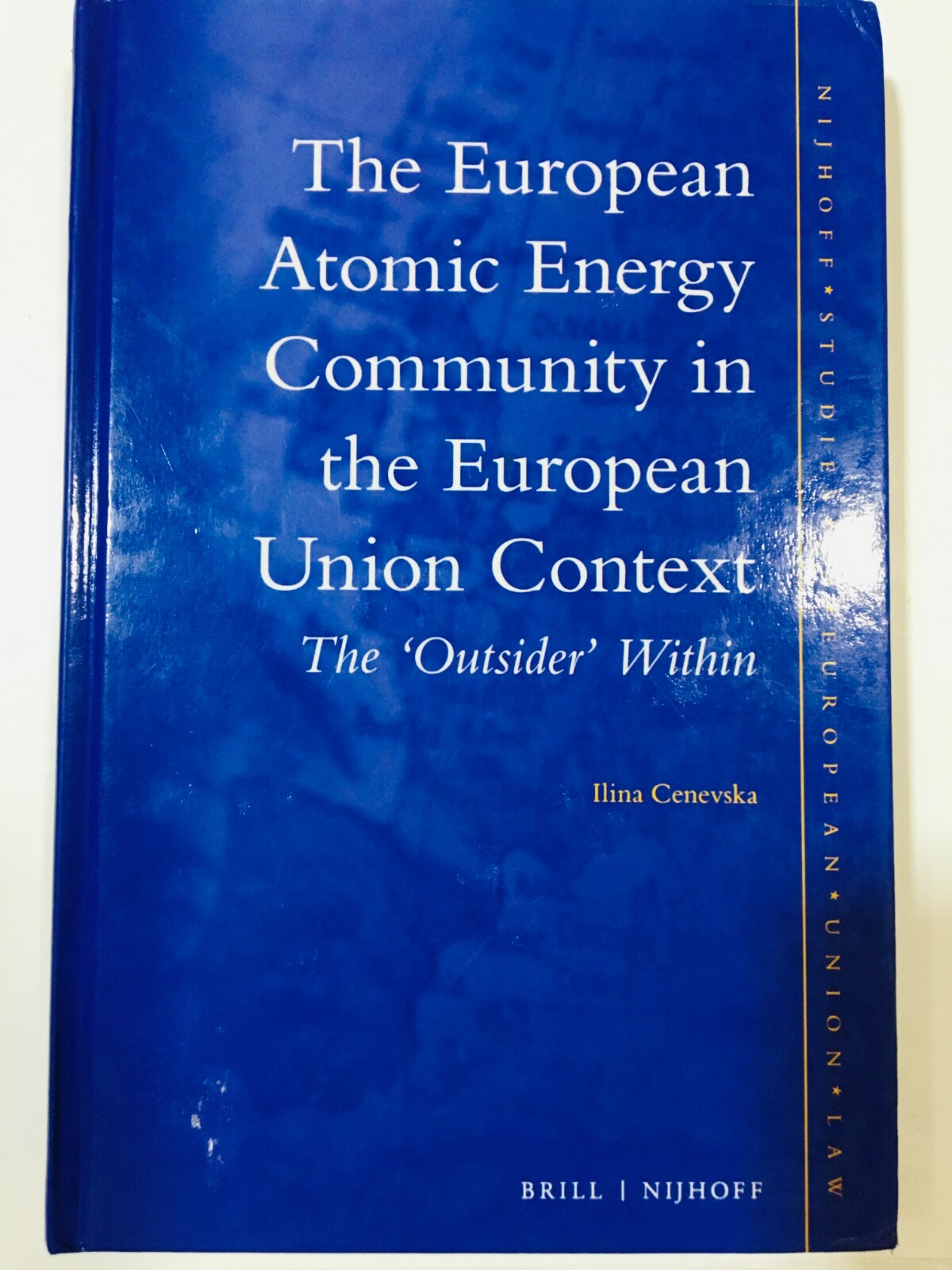 The European Atomic Energy Community in the European Union Context