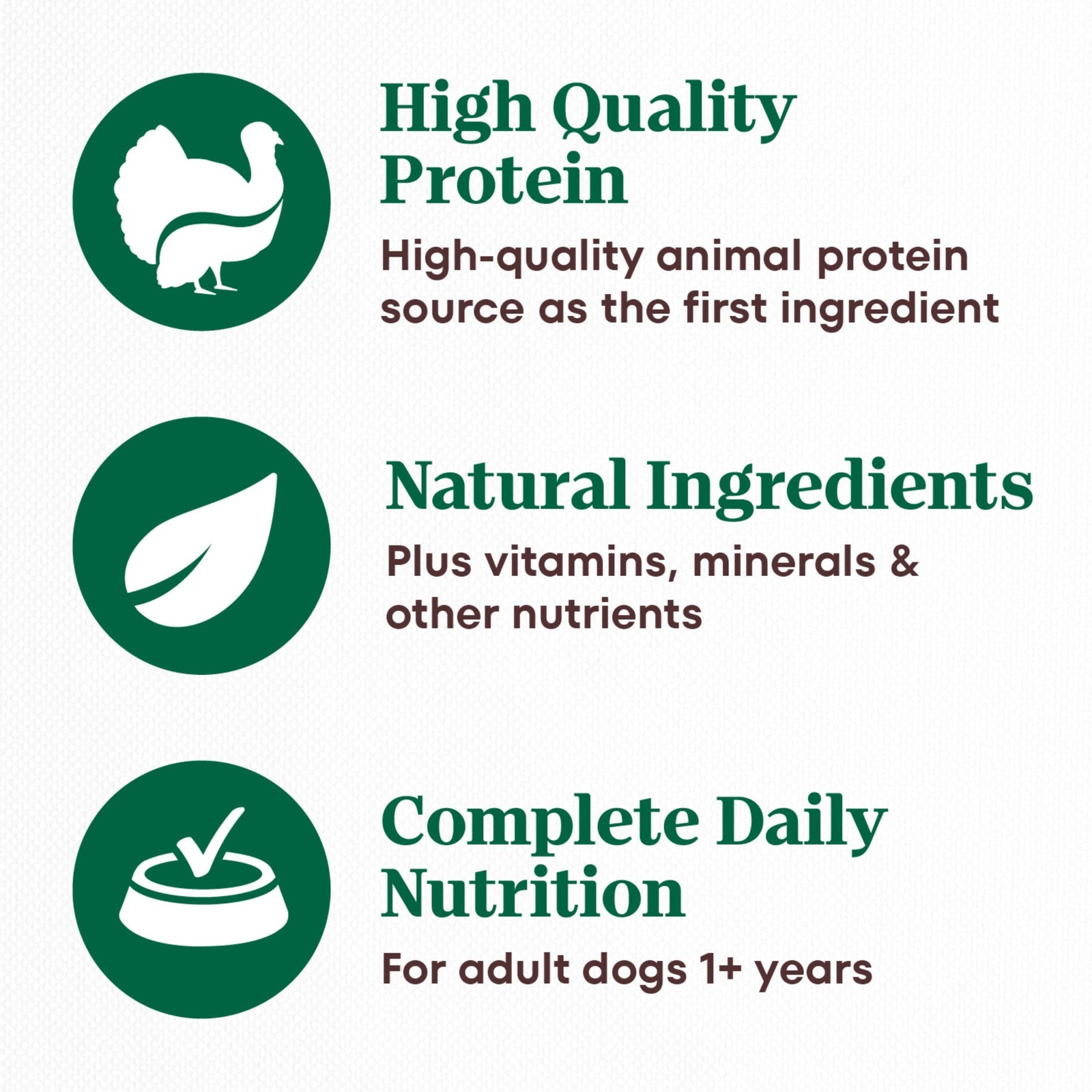 Nutro Limited Ingredient Diet Adult Wet Dog Food,Premium Loaf,Turkey 12.5oz,24ct