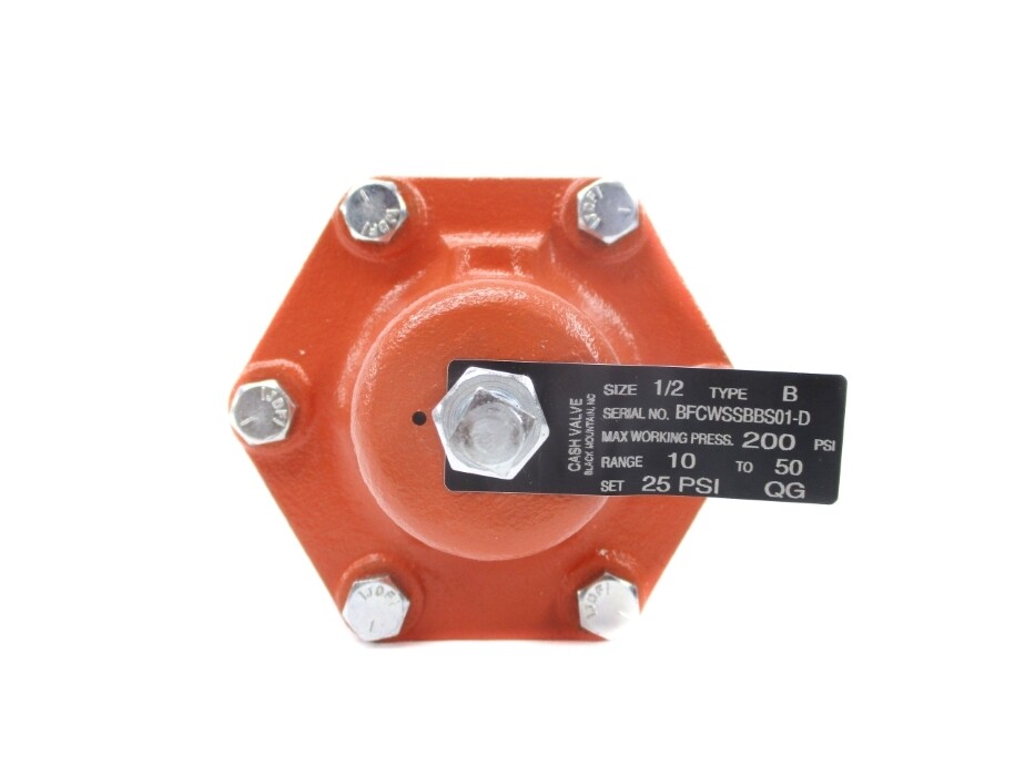 CASH VALVE TYPE B 200PSI 1/2″ NSNP