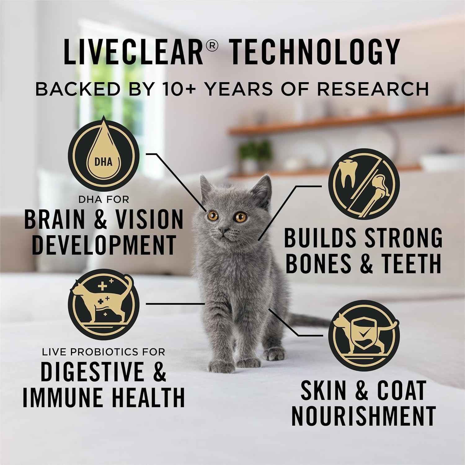 Purina Pro Plan LiveClear Kitten Chicken & Rice Cat Food 5.5lb