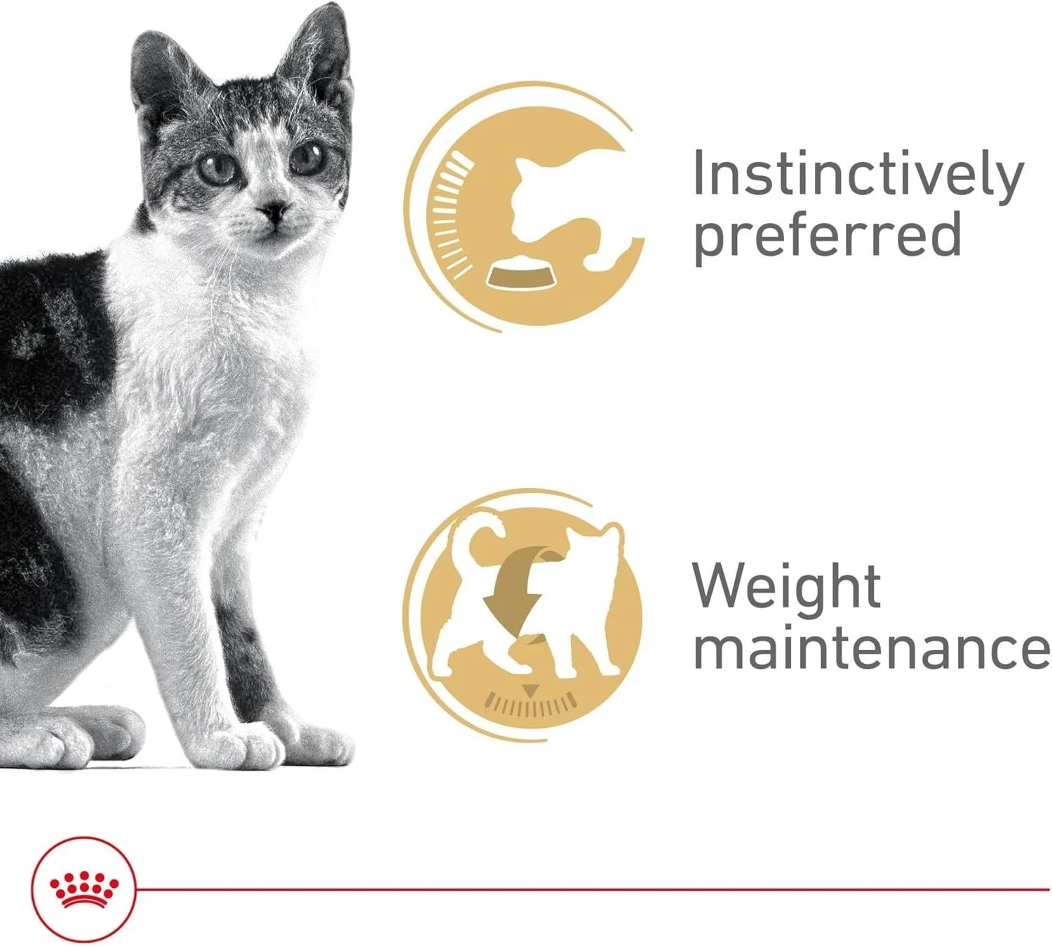 Royal Canin Adult Instinctive Thin Slices in Gravy Wet Cat Food, 3 oz can 36 ct