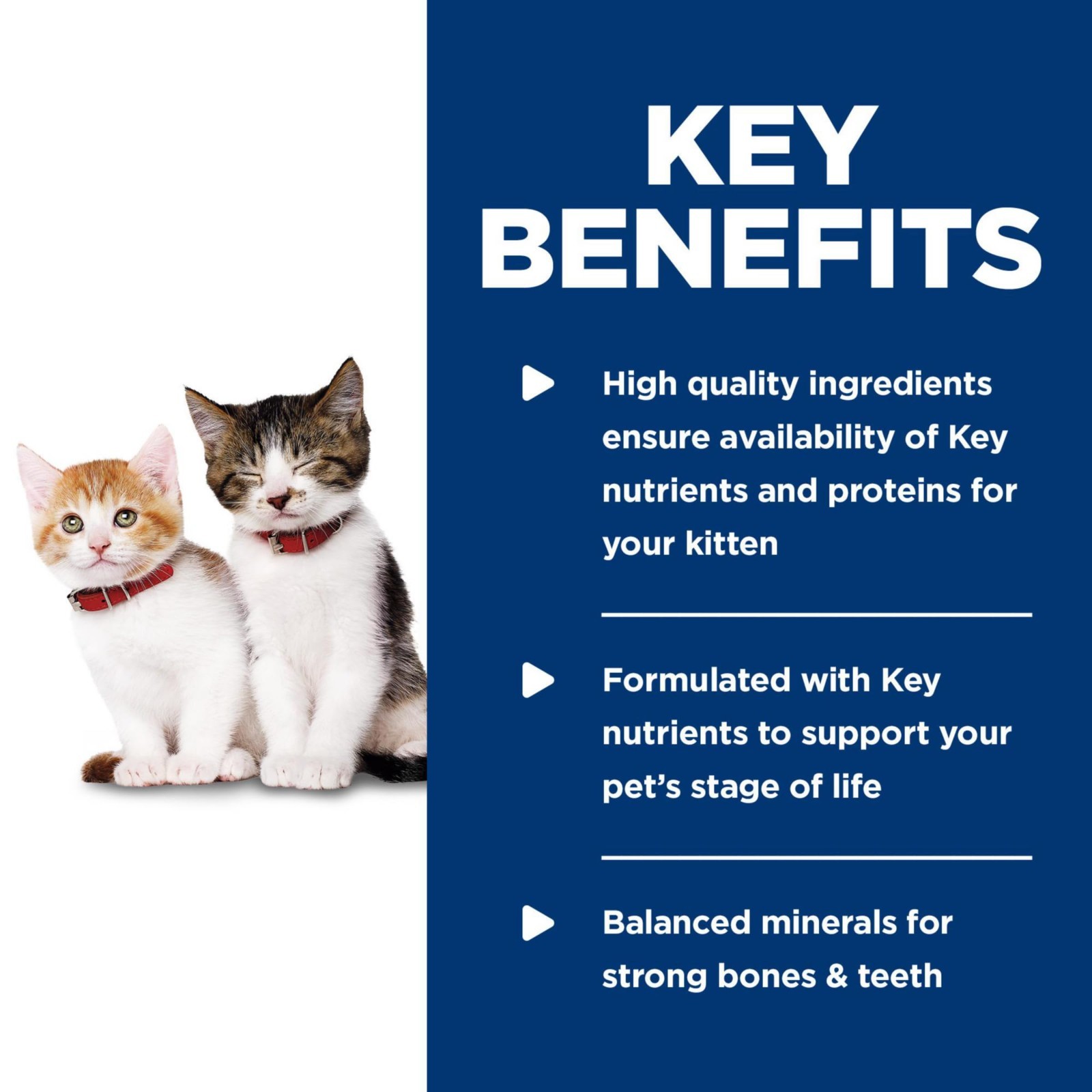 Hill’s Science Diet Kitten, Kitten Premium Nutrition, Chicken, (24) 5.5 oz Can