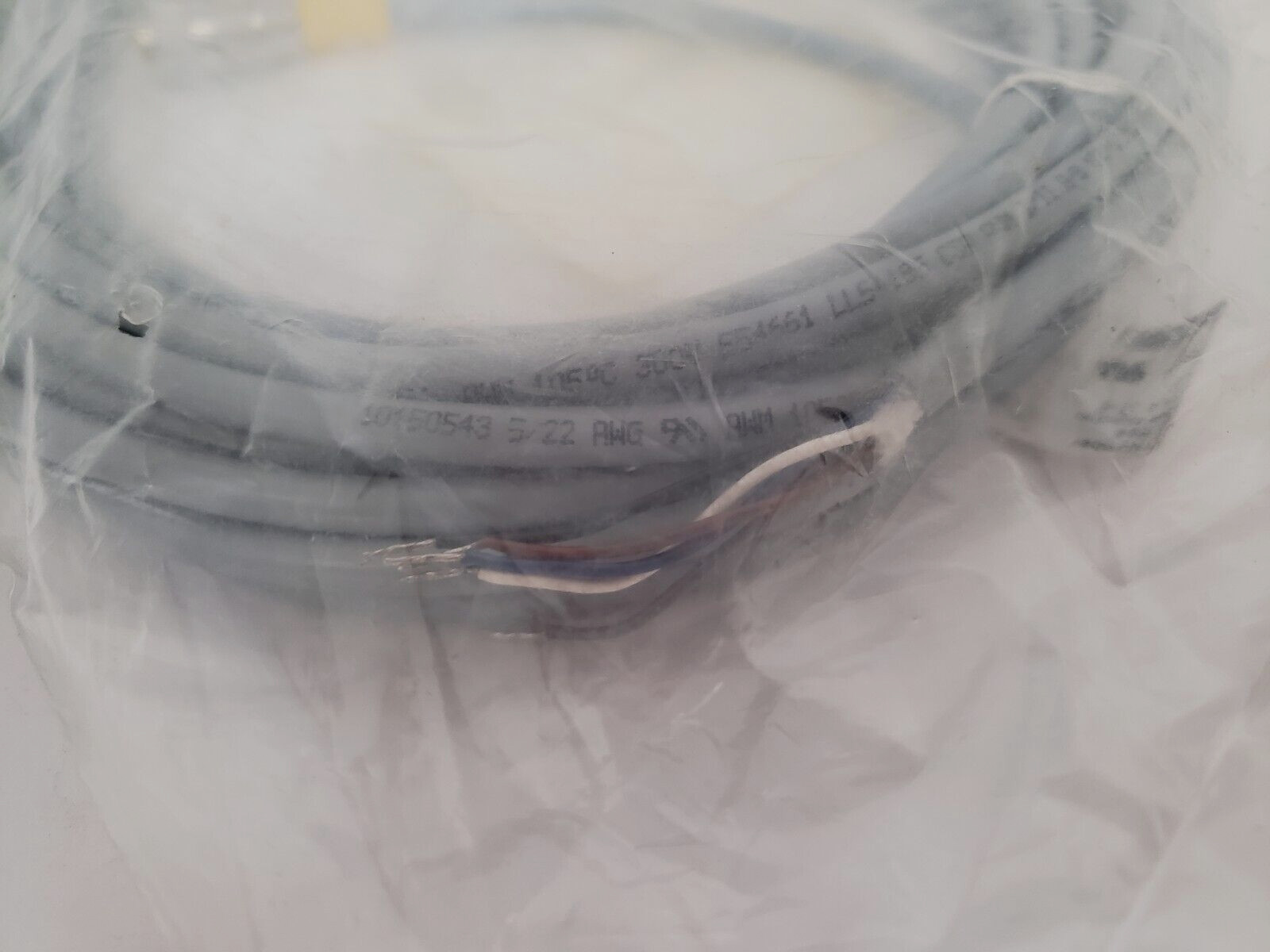 TURCK WK 4.2 1T-10-RS 4.21T EUROFAST MOLDED CORDSET 5 PIN (U2294-01) NIB