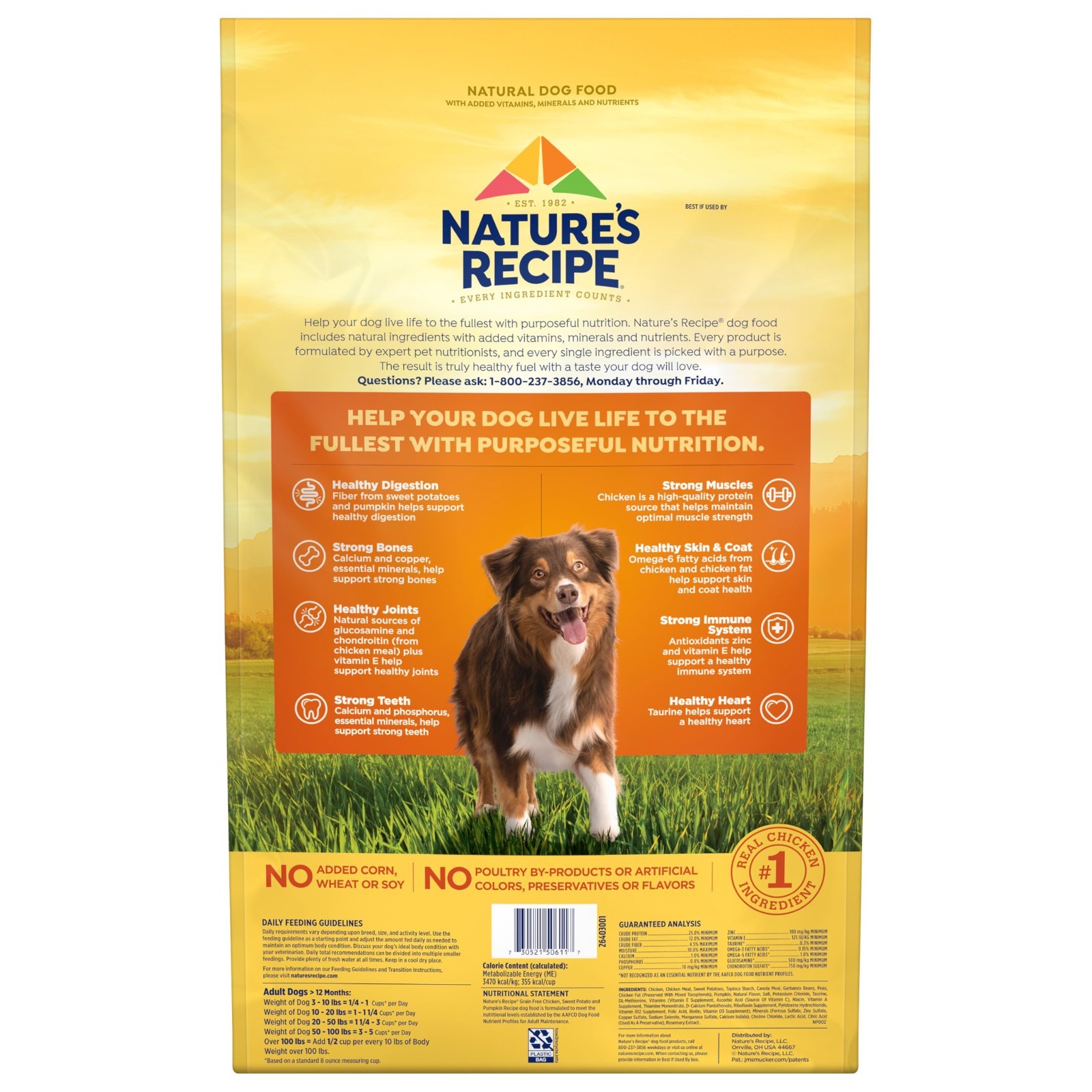 Nature’s Recipe Grain Free Chicken, Sweet Potato & Pumpkin Recipe Dry Dog, 48lb