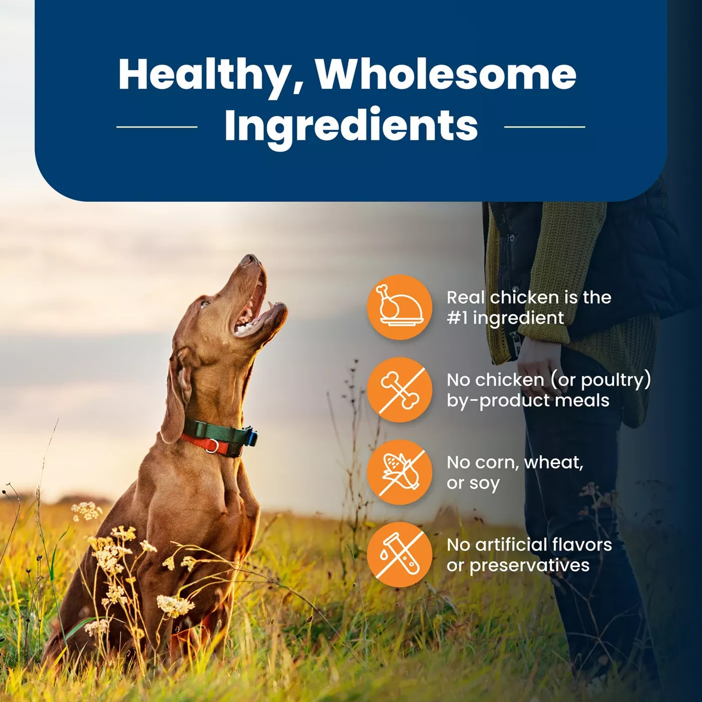 Blue Buffalo Life Protection Formula Chicken&Rice Large Breed Dry Dog Food, 30lb