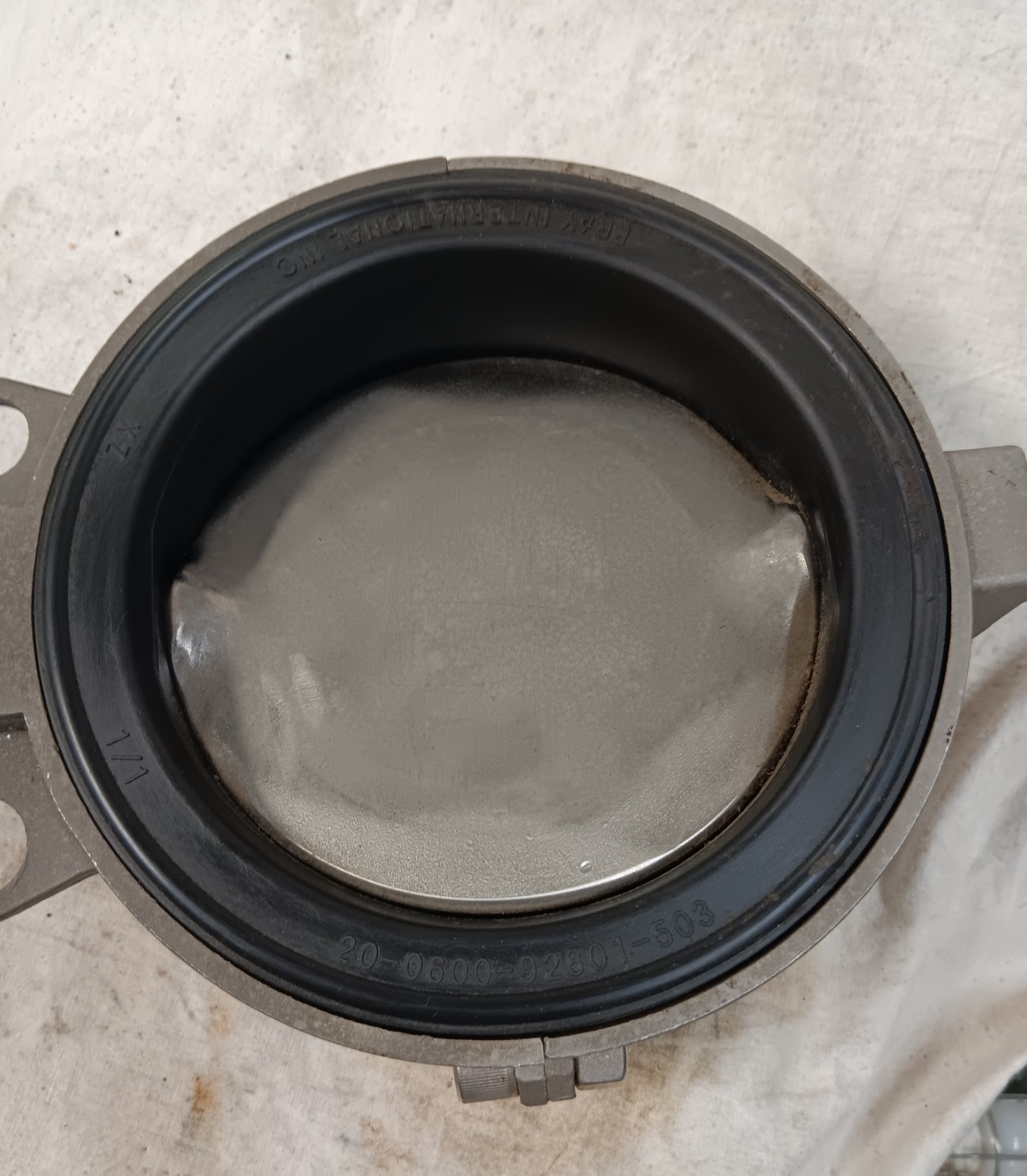 NEW BRAY 6″ Stainless Steel BUTTERFLY VALVE SERIES 20