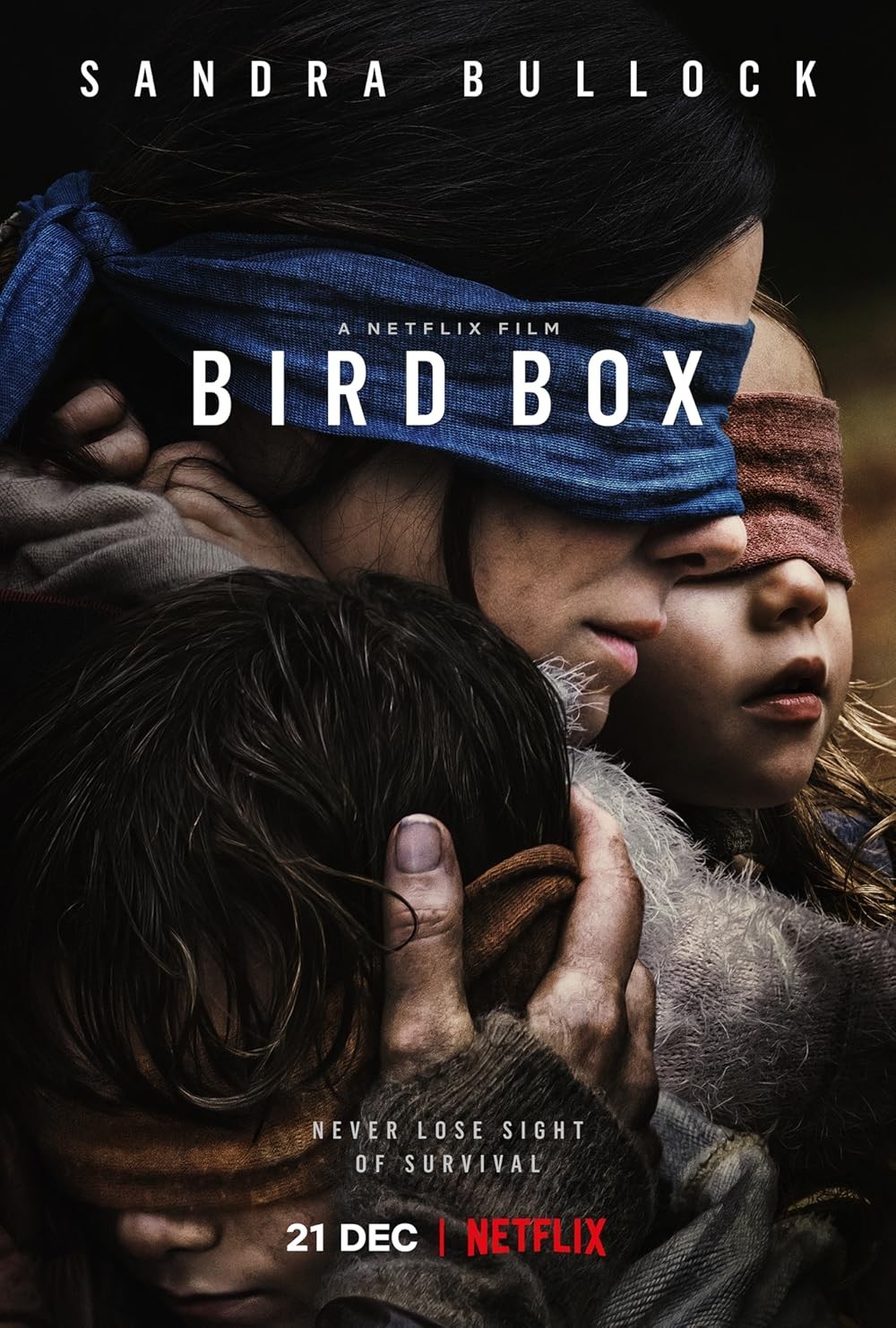 Bird Box 2018 MOVIE With Slip Cover Region Free