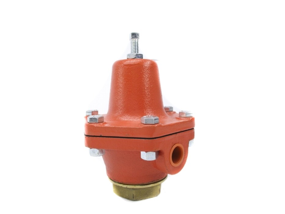 CASH VALVE TYPE B 200PSI 1/2″ NSNP
