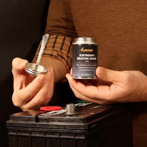4LifetimeLines Dielectric Grease for Electrical Connectors – 4oz Brush