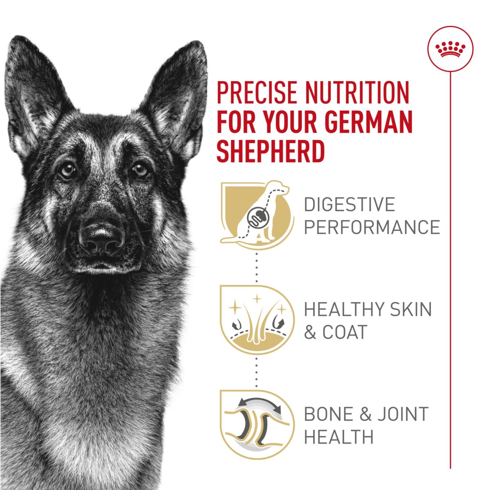 Royal Canin Breed Health Nutrition German Shepherd Adult Dry Dog Food, 30 lb Bag