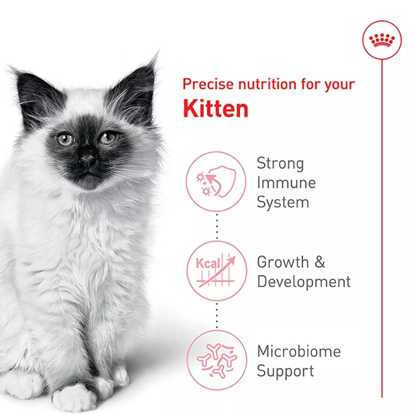 Royal Canin Feline Health Nutrition Kitten Dry Cat Food, 14 lb