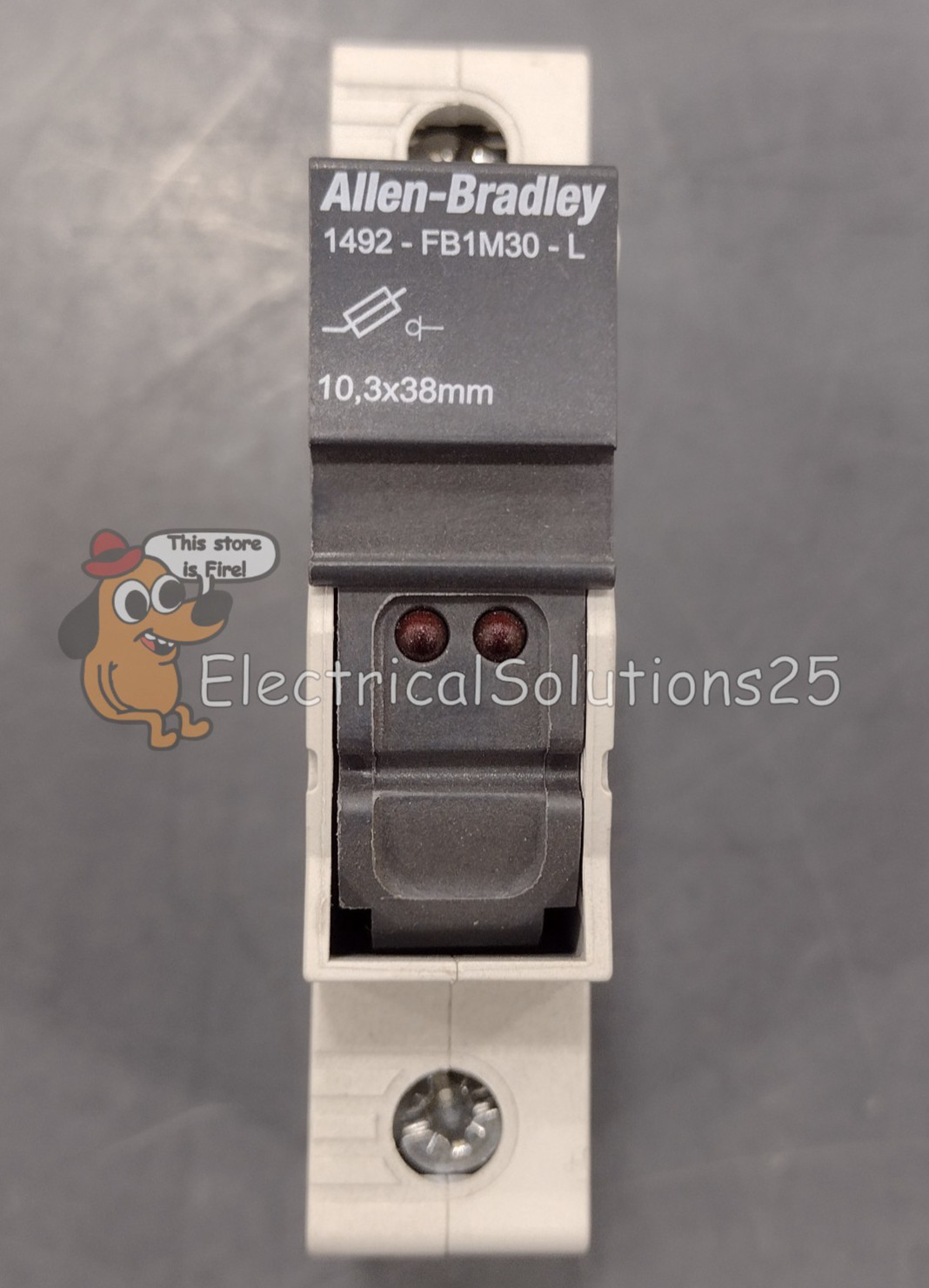 New No Box Allen-Bradley 1492-FB1M30-L 1-Pole 30A Fuse Holder LED – Free Ship