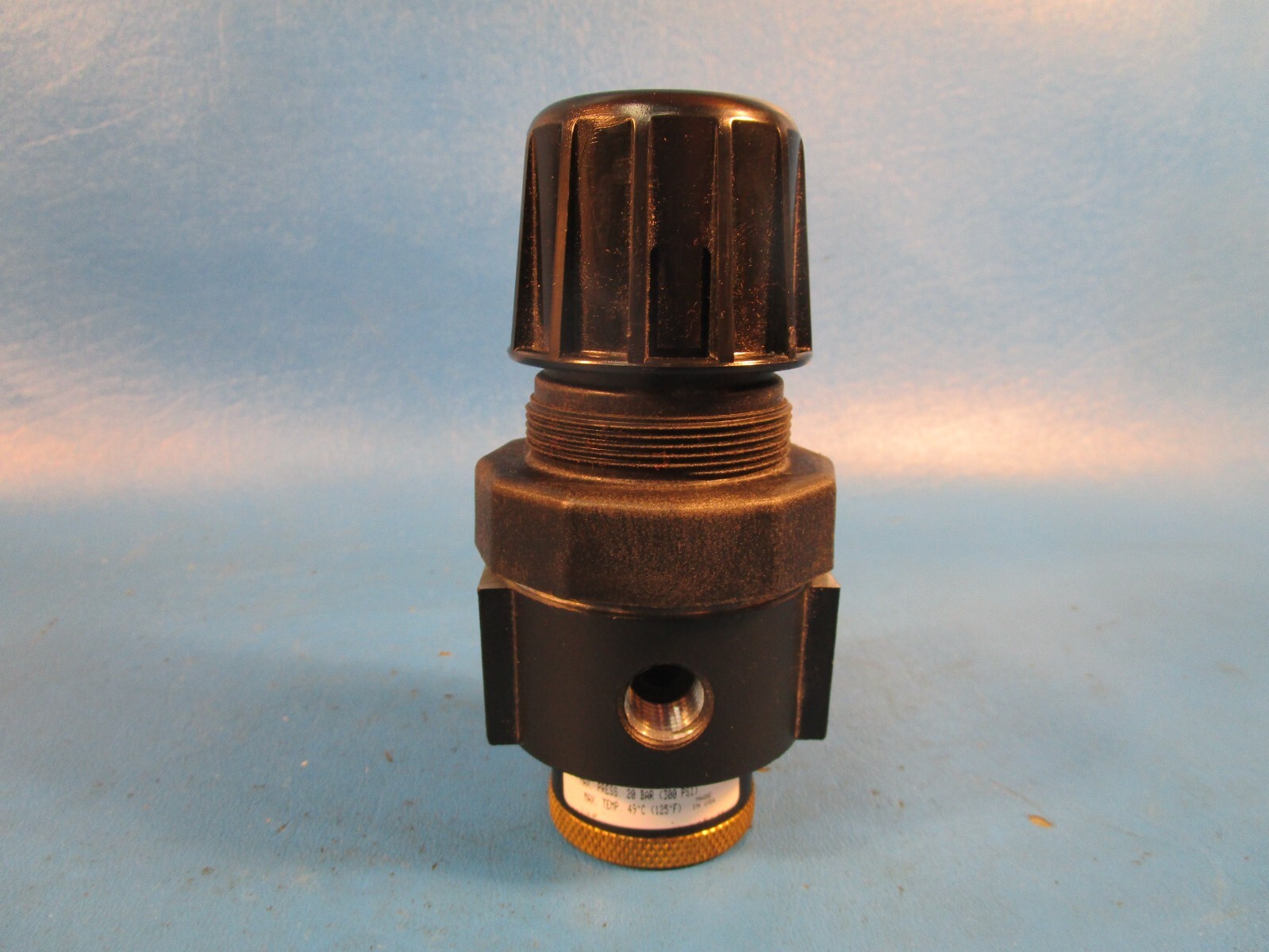 Watts R10-04A/M3 Pressure Regulator, 21 Bar/300 PSI Max, 1/2 NPT