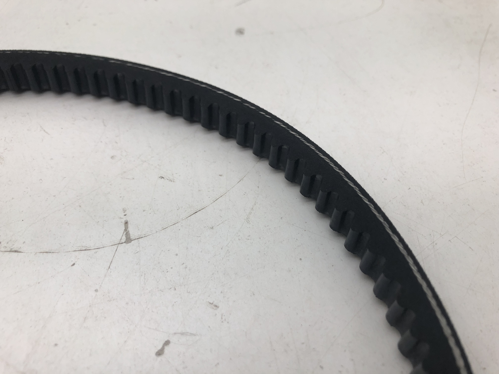 CONTINENTAL CONTITECH TORQUE-FLEX AX22 COGGED V-BELT