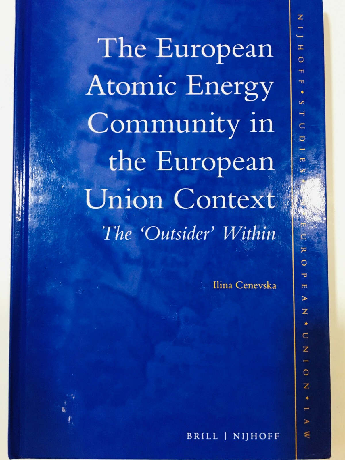 The European Atomic Energy Community in the European Union Context