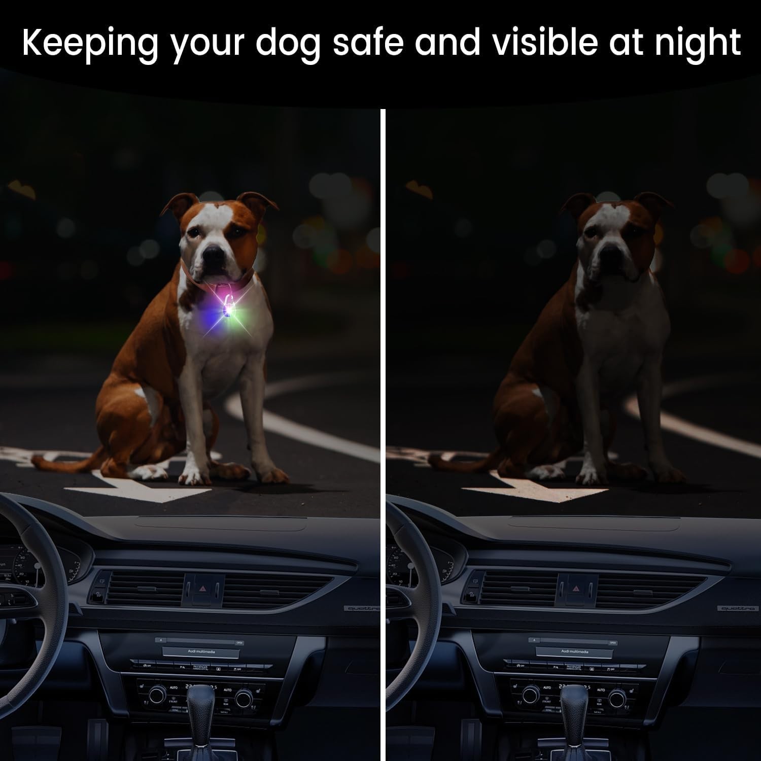 Dog Collar Light, 2 Pack Rechargeable Dog Light Clip On, 80LM Brightness 4 Co…